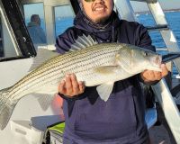 2022 fall striper 3 20221102