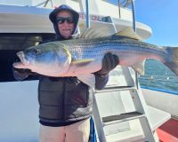 558286207 1257178829784721 n