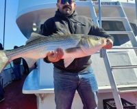 560105681 1257178856451385 n