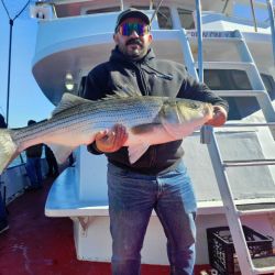 560105681 1257178856451385 n