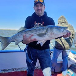 561871393 1257178873118050 n