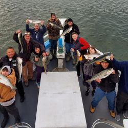 sandy hook   keyport fishing 5 20200602