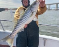 striper 12 16 4 20211218