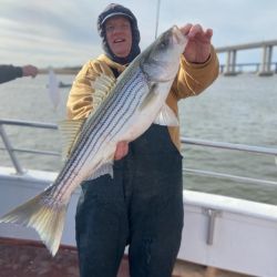 striper 12 16 4 20211218