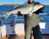 stripers 1 20211217