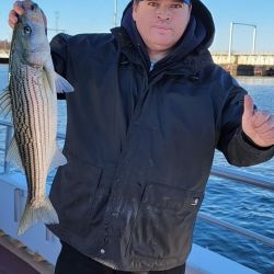 stripers 2 20211217